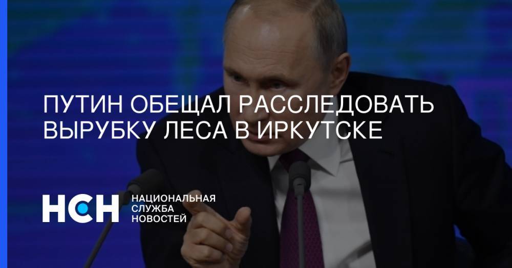 Путин обещал расследовать вырубку леса в Иркутске