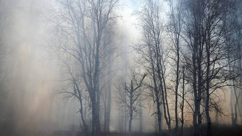 Площадь природных пожаров в Хабаровском крае превысила 950 га