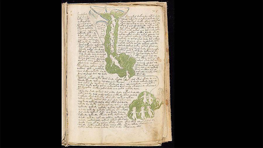 Ученый счел невозможной смысловую расшифровку «манускрипта Войнича»