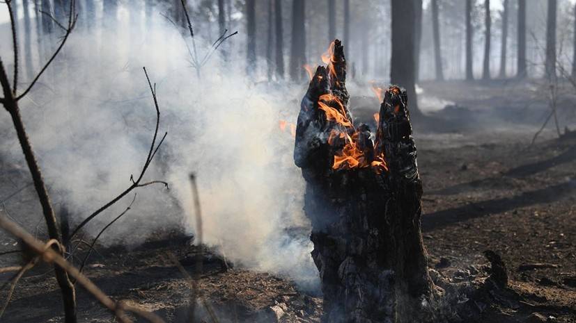 Синоптики предупредили о высокой пожароопасности с 18 по 20 мая в Новосибирской области