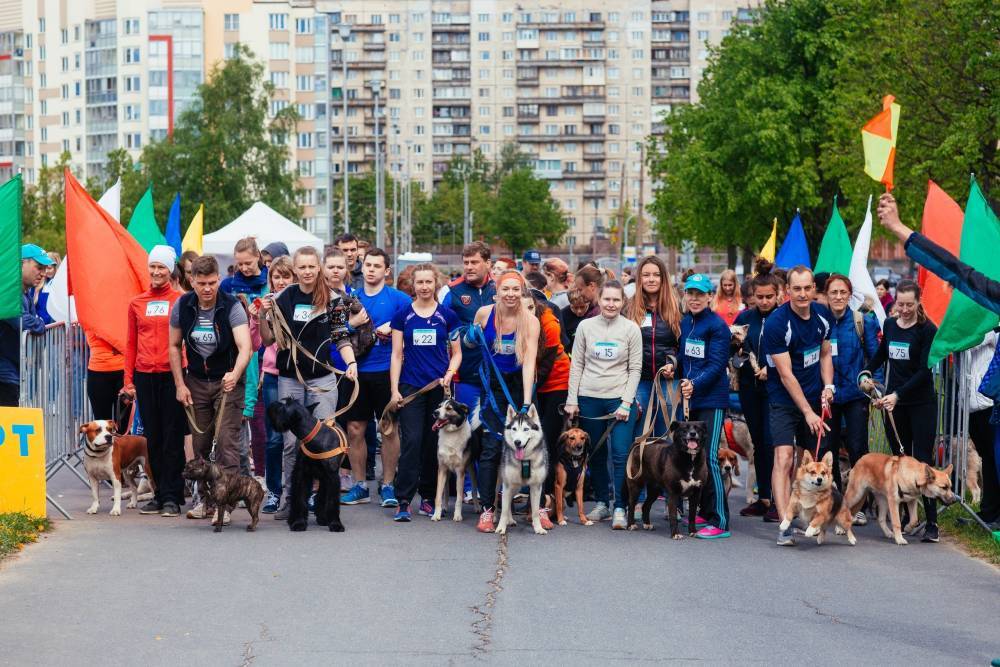 «Необыкновенный кросс» для собак пройдет в Полюстровском парке Петербурга