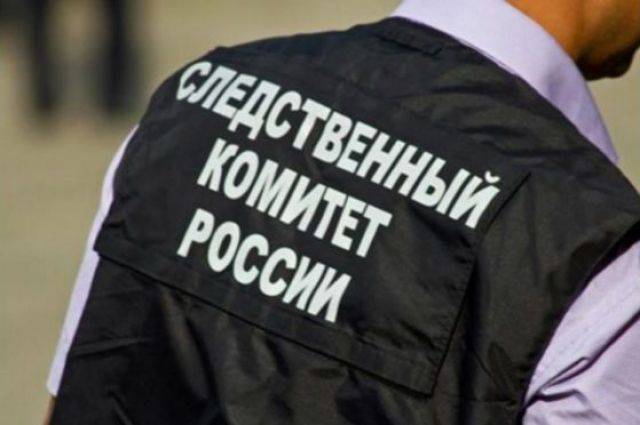 СК сообщил об итогах проверки парка в Рязани по поручению Путина