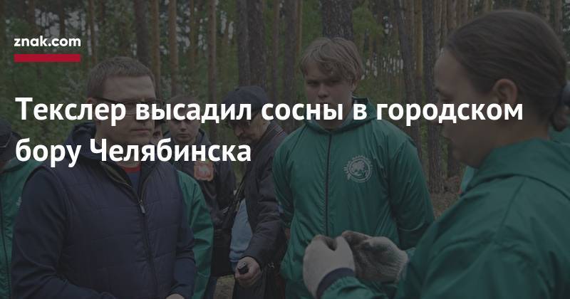 Текслер высадил сосны в&nbsp;городском бору Челябинска