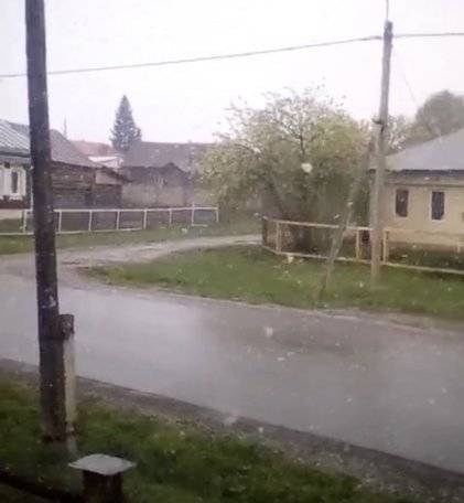 Жители районов Башкирии сообщают о выпадении снега