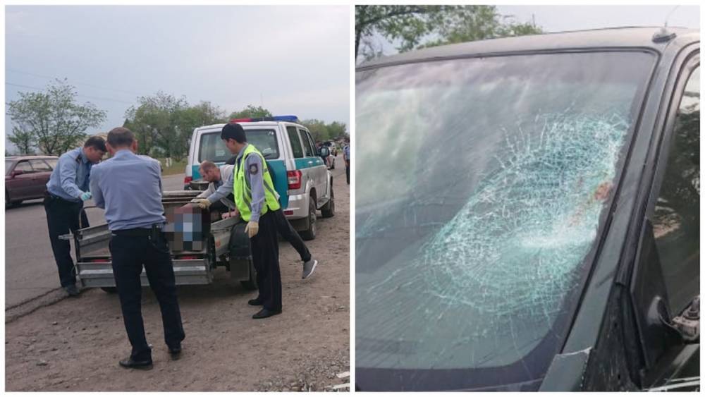 Пешеходу оторвало голову во время аварии в Алматинской области (фото)