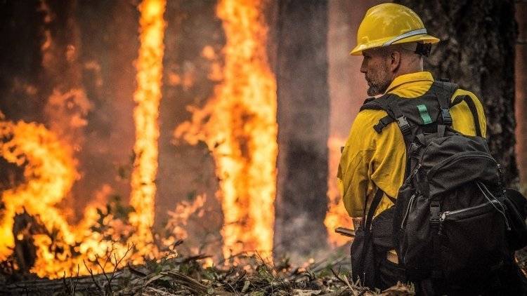 Жителей Канады эвакуируют из-за сильных лесных пожаров