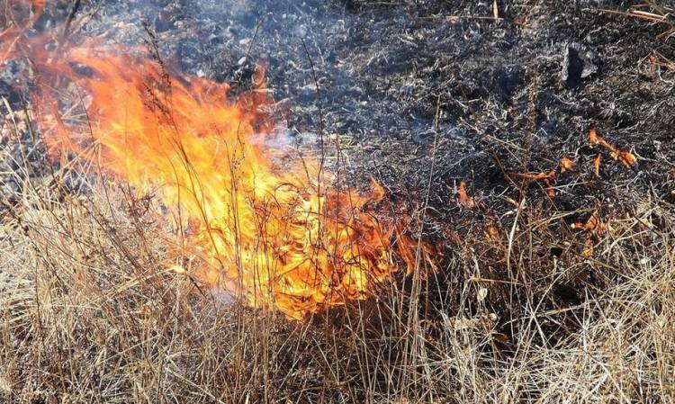 Жителей Оренбургской области предупреждают о высокой пожароопасности