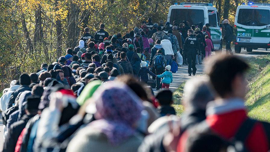 Немецкий политик: Берлин тратит на беженцев миллиарды, но так и не решил миграционный вопрос