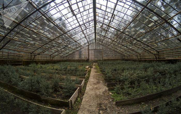 В Армении растет интерес к инновационным садам - замминистра сельского хозяйства: