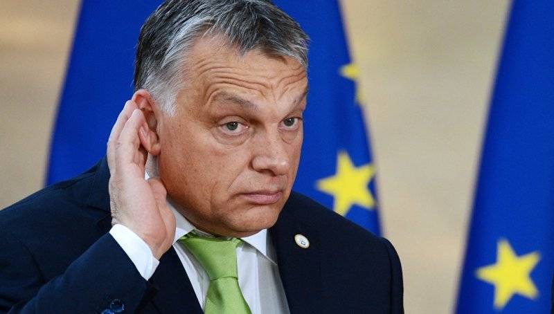 Венгрия держит наготове дубинку для Зеленского | Политнавигатор
