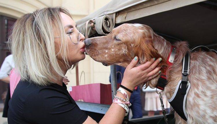 Ученые заявили о генетической природе любви к собакам