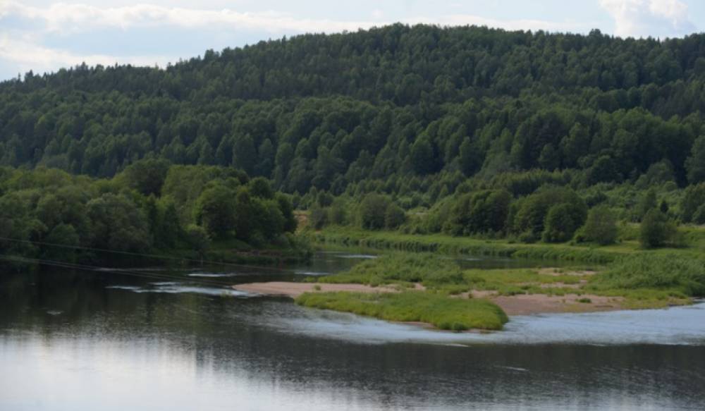 В Ленинградской области появится Аварийная экологическая служба
