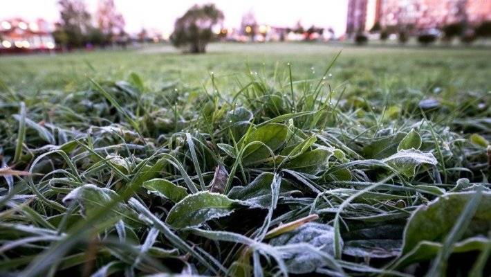 МЧС предупредило жителей Оренбургской области о заморозках