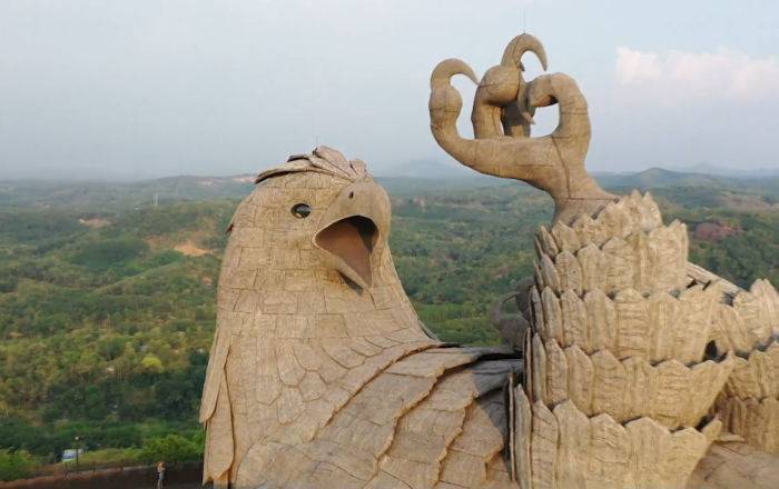 Дрон снял гигантскую птицу в Индии – завораживающие кадры
