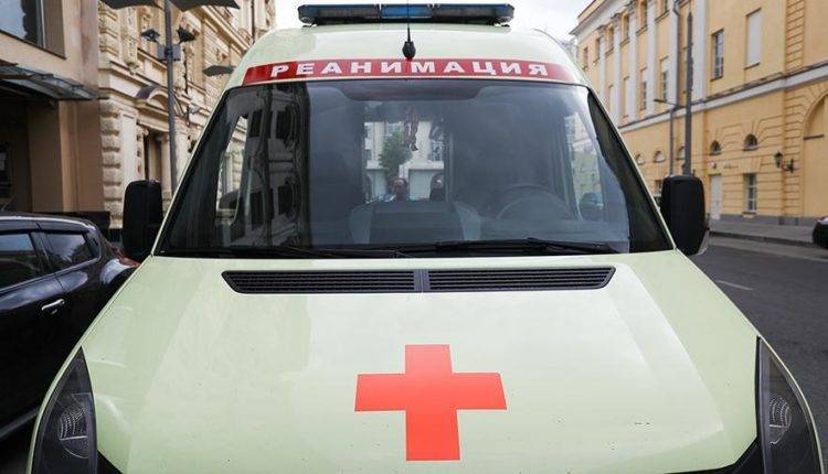 В Барнауле школьница впала в кому после нападения лошади