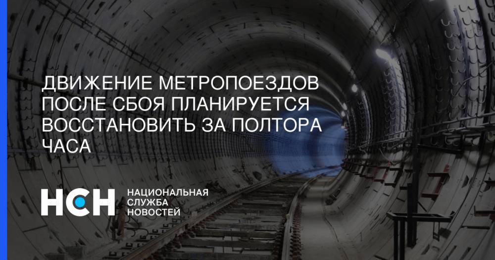 Движение метропоездов после сбоя планируется восстановить за полтора часа