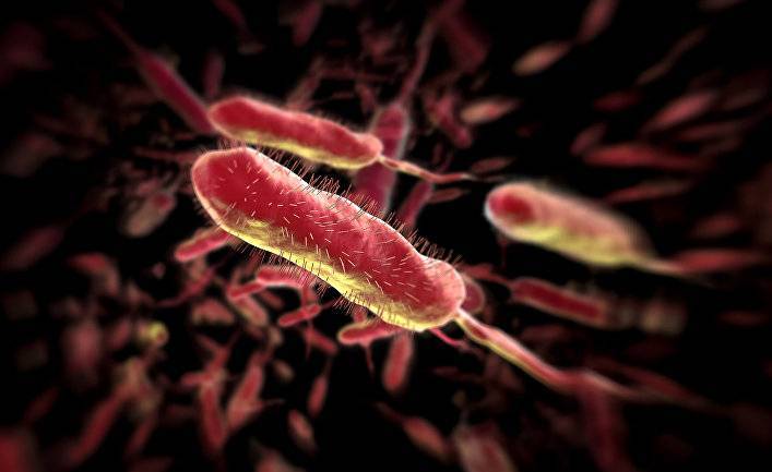 Смерть антибиотиков: мы лишаемся эффективных лекарств для борьбы с армией супербактерий (Newsweek, США)