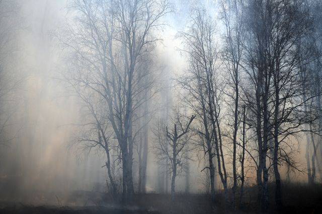В Иркутской области горит свыше трех тысяч гектаров природных территорий