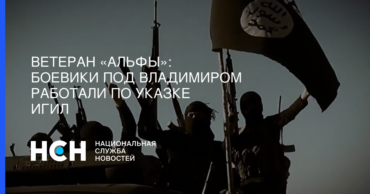 Ветеран «Альфы»: Боевики под Владимиром работали по указке ИГИЛ