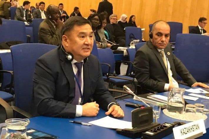 Казахстанская делегация выступила с докладом в Вене