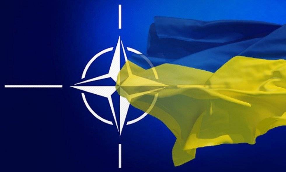 В Киеве заявили, что страна не выживет без НАТО и ЕС