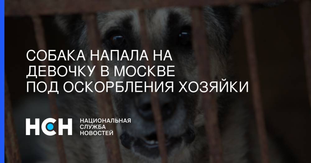Собака напала на девочку в Москве под оскорбления хозяйки