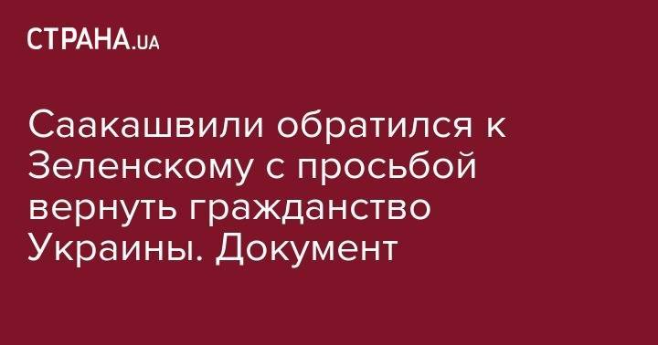 Саакашвили обратился к Зеленскому с просьбой вернуть гражданство Украины. Документ
