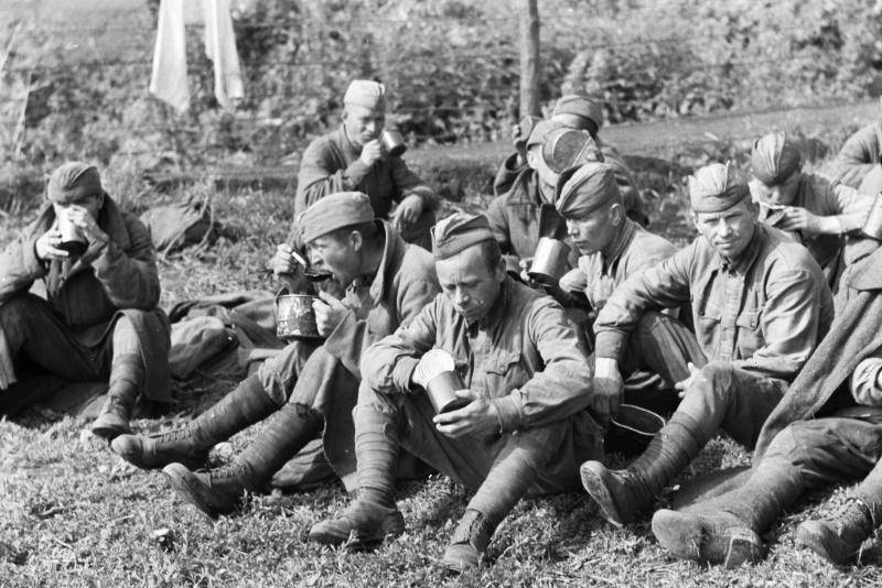 «Уже 3 дня, как я не кушал…»: был ли голод в Красной Армии во время Великой Отечественной | Русская семерка
