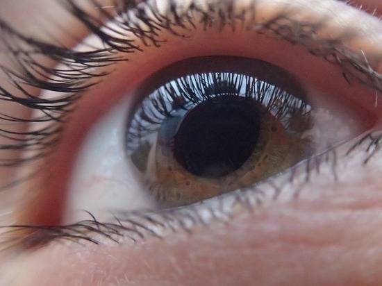 Ультразвуковой глаз: как помочь незрячим ориентироваться в пространстве