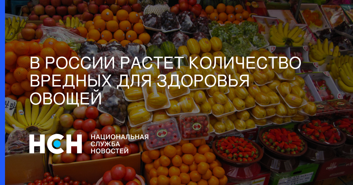В России растет количество вредных для здоровья овощей