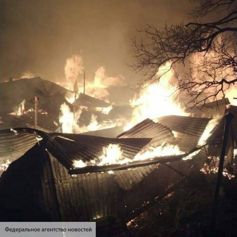 Беглов призвал граждан Петербурга помочь жертвам пожаров в Забайкалье