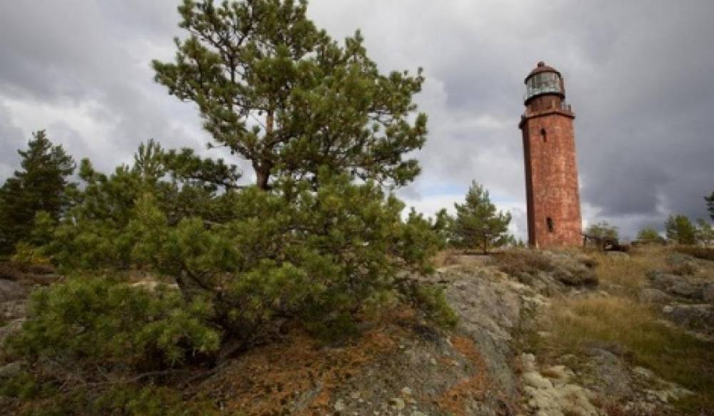 Ученые обследуют необитаемый остров Большой Тютерс в Финском заливе