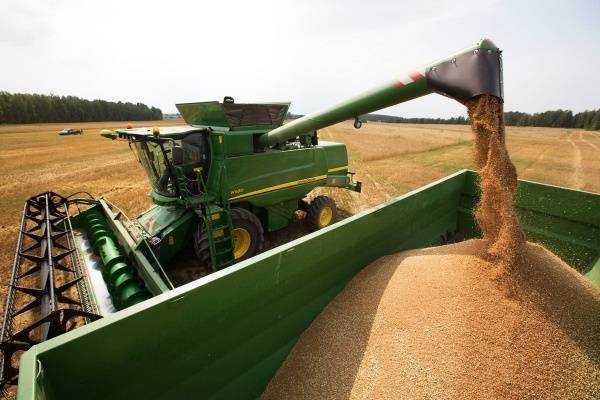 Минсельхоз: экспорт российского зерна может составить 45 млн тонн