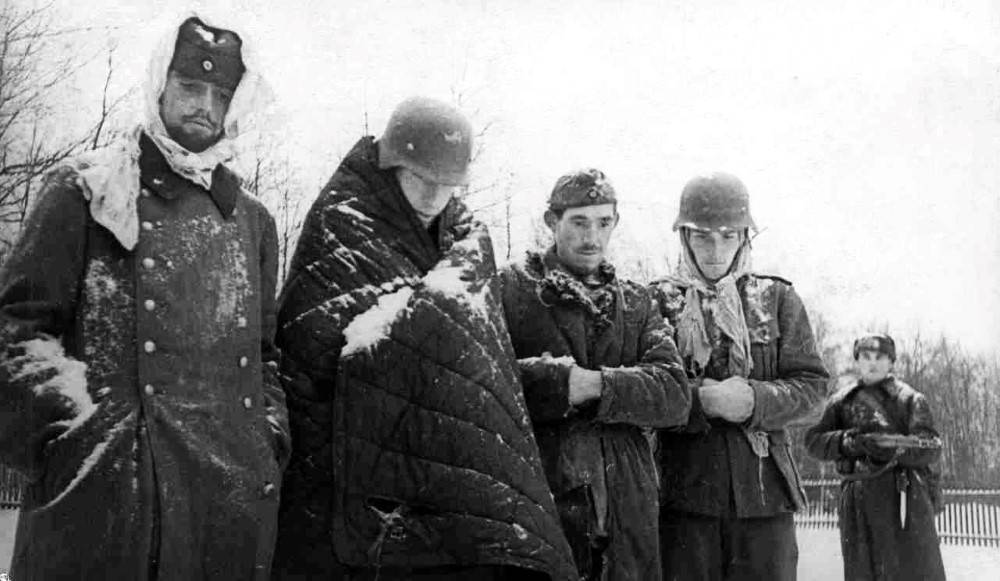 Сколько немецких войск на самом деле было разгромлено в Сталинграде | Русская семерка