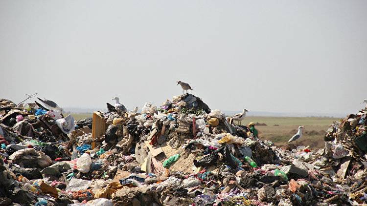 О свалках в Крыму: объем мусора достиг 55 млн кубометров