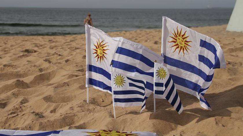 В пампасы: зять российского миллиардера хочет стать президентом Уругвая
