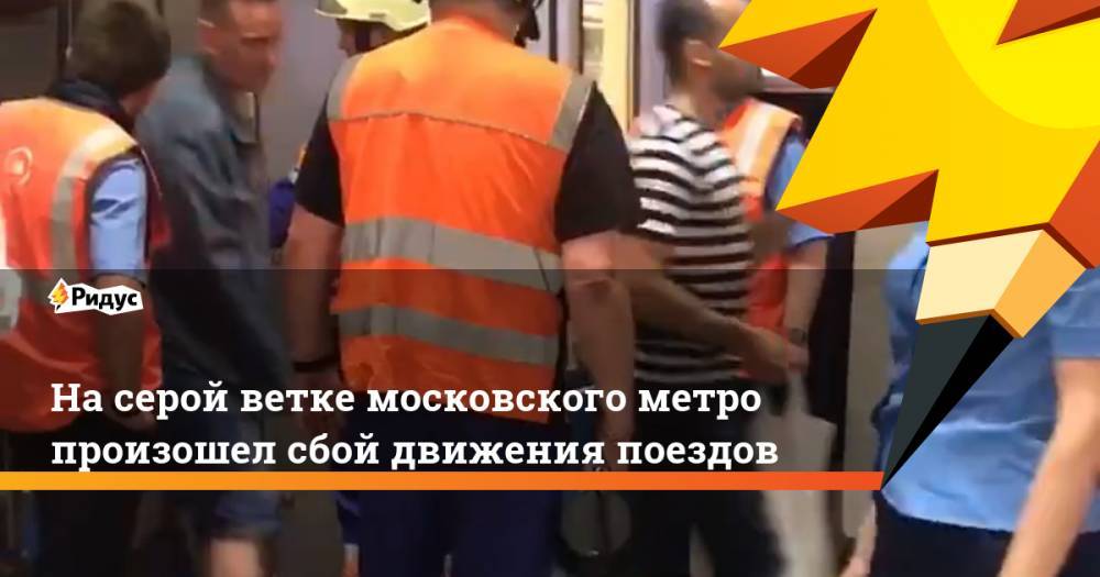 На серой ветке московского метро произошел сбой движения поездов