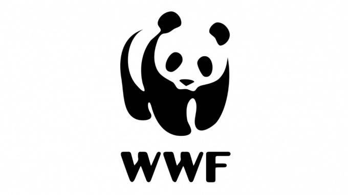 WWF назвал 6 видов животных России,&nbsp;находящихся под угрозой исчезновения
