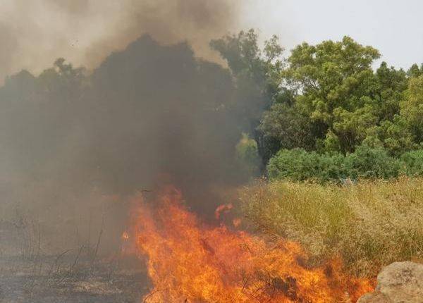 Лесные пожары: население эвакуируют из поселков, к которым приближается огненный фронт