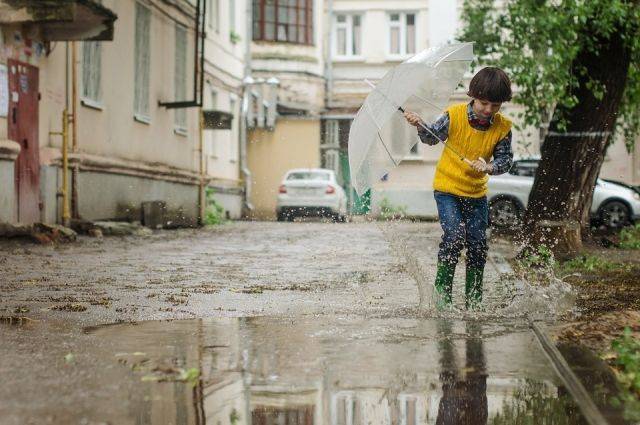 В выходные дни в Москве ожидаются дожди и грозы