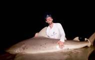 Рыбаки сняли схватку со 181-килограммовой акулой