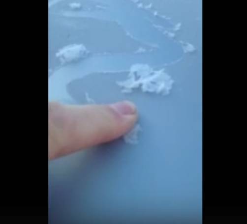 Житель Башкирии опубликовал последствия заморозков (ВИДЕО)