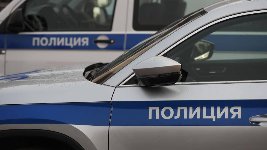 На участников скандального флешмоба во Владивостоке составили протоколы