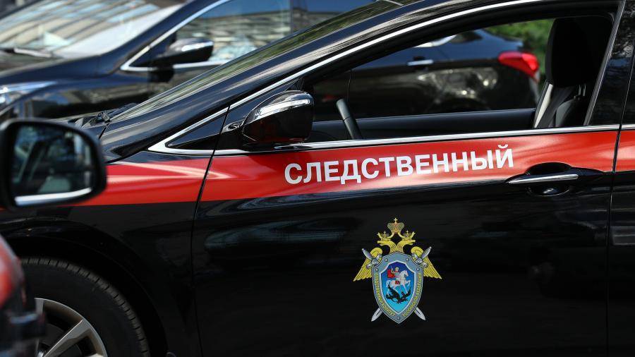 Жительница Подмосковья избила и покусала сотрудников МВД