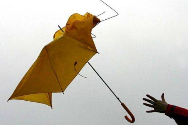 В Москве объявили «жёлтый» уровень погодной опасности из-за грозы и ветра