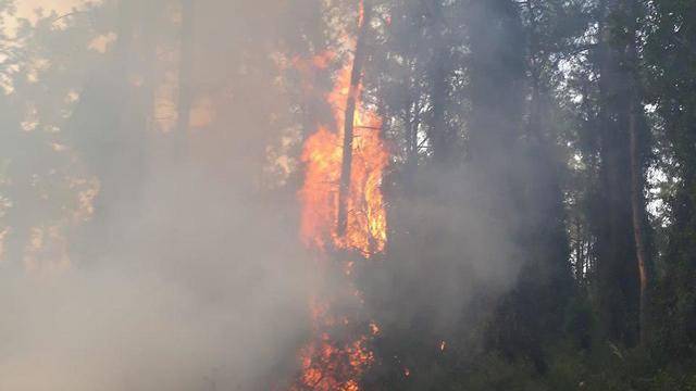 Крупный пожар в районе Писгат-Зеэв, огонь стремительно распространяется