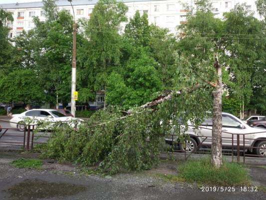 Ветер во Владикавказе стал причиной гибели женщины