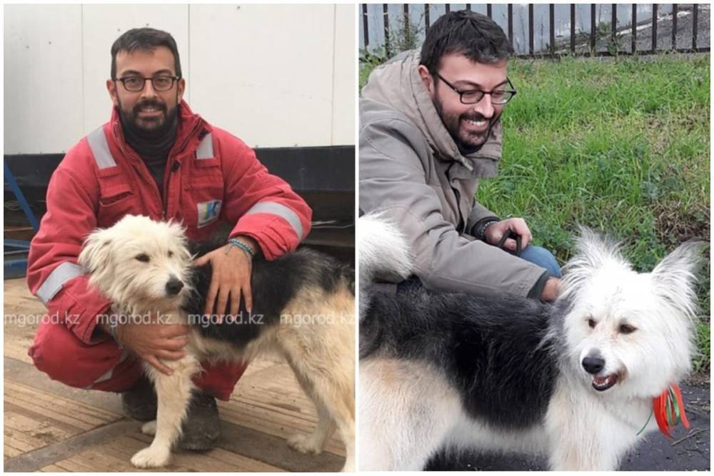 Итальянец забрал собаку из Аксая на ПМЖ в Рим (фото)