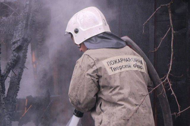 Мужчина и трое детей погибли в огне в Красноярском крае