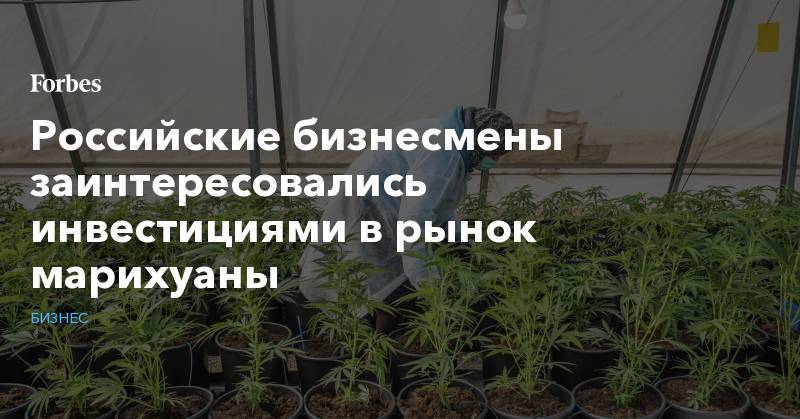 Российские бизнесмены заинтересовались инвестициями в рынок марихуаны